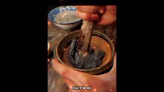 Amazing Bamboo Life Hack 😱 || Amazing fact || #facts #amazingfact