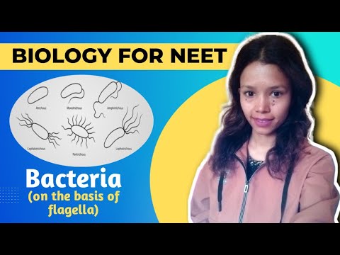 Types of Bacteria || on the basis of flagella ||  #neet || Lt || Lecturer || Biology