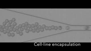 Cell encapsulation