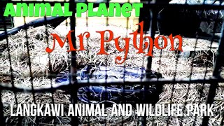 Animal Planet | Ular Sawa Burma | Langkawi Animal And Wildlife Park