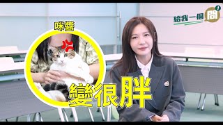【給我一個問】一句話教會你，如何讓政治變得更美麗！ ft.吳沛憶💜
