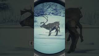 Caribou Combo 🦌🦌🦌🔫 | theHunter: Call of the Wild