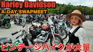 [Harley] The biggest in Kanto!? Have a blast at the American swap meet! Harley Davidson