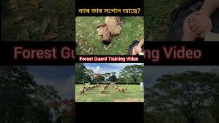 ♥️Forest Guard Training Video #forestguard #viralvideo #shortreels #shortvideo #motivation