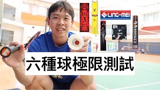 羽球周邊｜六種球極限測試｜誰的CP值最高？｜大亂鬥｜然教頭羽球