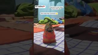 Khatu Shyam ki Mahima | Jai shree Shyam | #khatushyam #viralshort #shorts #bhakti #murliwala 🚩🌍