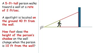 OpenStax Calculus Exercise 4.1 Problem 12 | Related Rate | A 5-ft-tall person walks toward