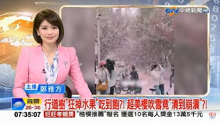 用Shotcut分割合併影片~中視新聞主播鄭雅方 新聞播報片段(2025年7月24日) -畫質720P