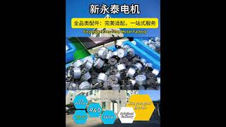 新永泰电机有限公司