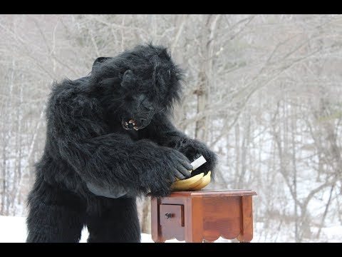 Dynamic Inclinometer - GravityGyro™ Gorilla Qualification Testing (GQT)