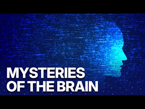 Steps to the Future EP03-04 | The Mysteries of the Brain