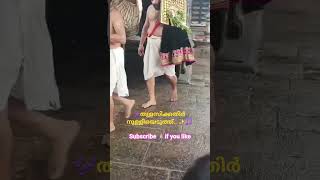 🎵 തുളസിക്കതിർ ✨ Krishna Devotional Song |Malayalam Bhakti Music #shorts #youtubeshorts #trending