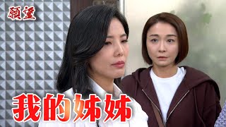 願望 EP264預告 麗紅沒有忘記妹妹！心心念念替麗君找眼角膜｜@setdramatw​