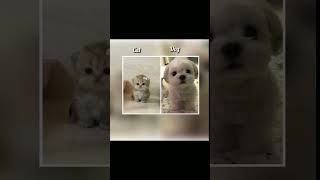 Best friends quiz #BFFchallenge#Funquiz#Youtube#shorts#viral