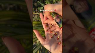 Mehendi hack✨#goesviral #trendingshorts #shorts #mehendi #diy #ashortaday #reels #wedding #ytshorts