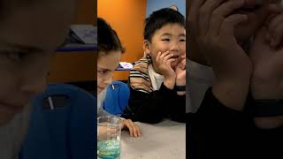Exploring Chemical Reactions: Red Cabbage Indicator Experiment!