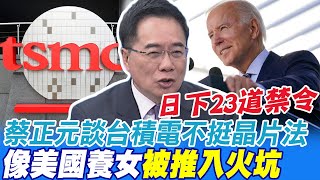 日本攔23種晶片製造設備出口 蔡正元:太高估自己 他談台積電不挺晶片法 "像美國養女被推入火坑"  @中天新聞CtiNews