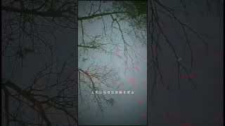 往前走，不要回头#佛學 #修心修行 #智慧人生 #禪意 #禪語 #禪悟人生 #熱門禪語 #心靈禪語