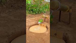 Awesome Effective Creative Parrot Trap #youtubeshorts