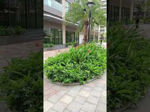 Căn 1PN+ 55M2 View Công viên nội khu Beverly - Vinhome Grand Park