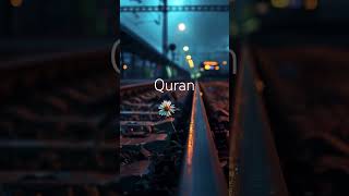 #translationquranandislam #qurantranslationinurduonly #qurantranslationhd #quranictranslation #ayat