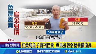 烏魚子"色澤差異"價不同! 內行人選黑烏金吃補 紅黃烏魚子賣相佳貴 黑烏金較俗營養價值高│記者 廖宜德 謝昀蓁 陳秉豪│我食故我在20241117│三立新聞台