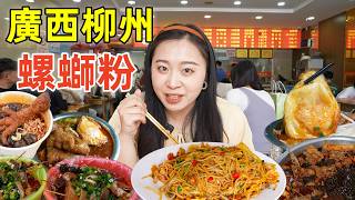 廣西柳州螺螄粉美食大全，從8元干拌螺螄粉吃到70元螺螄粉麻辣燙，哪個香？Food guide of 6 types of Luosifen in Liuzhou, Guangxi