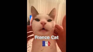 Cats Country 🐈🚩 #shorts #cat #nationality #viral #trolledit #tranding #edit #catshorts #foryou #fyp