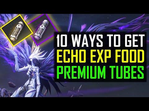 10 WAYS TO OBTAIN ECHO EXP FOOD Wuthering Waves Guide