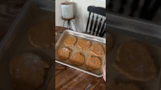 3 ingredient pup pumpkin cookie treats