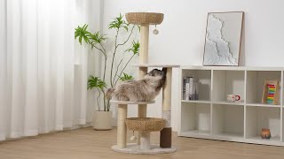 PetPals Pharaoh V2 Cat Tree – Climb & Play!