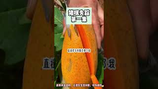 《失蹤的車》類真實故事改編。完結版。#聽書  #小說 #一口氣看完