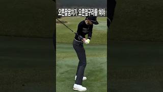 백스윙.다운블로.팔로우,피니쉬 완벽_줌인스포츠TV