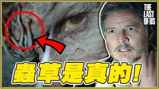 人類被菌菇控制《最後生還者》有可能發生？｜HBO影集《最後生還者》科學真相