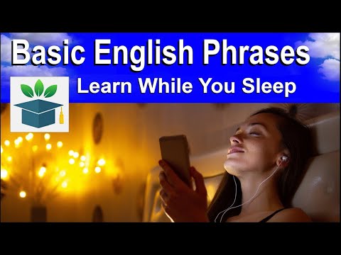 Learn Basic English Phrases and Words Spoken Slow and Easy