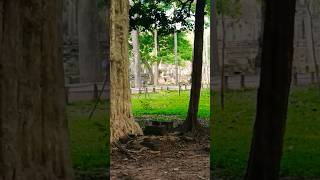 beautiful #nature #travel #tour #temple #templetour