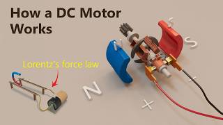 How a DC Motor Works in 3D | Working Principle of DC Motor #electrical
