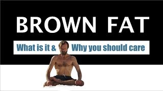 Brown Fat Activation - What you need to know