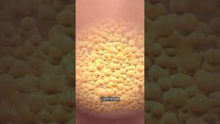 The Secret Life of Fat Cells: Adipocytes #science #biology