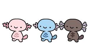 Wooper walk