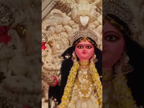 taroo ko mohabbat Amber se #jagadhatrifestival #basantipuja#shortreels