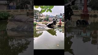 B52 BOMBER! #warplane #b52bomber #planecrash #abandoned #crashed #airoplane #hanoi #veitnam