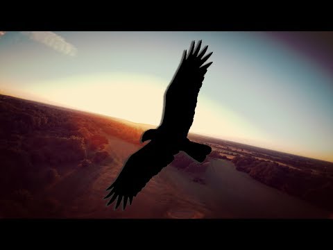 Walk Away 🔥 ~ FPV freestyle