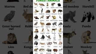 #forest animal's  name🔥🔥🔥#english #daily #most important meaning #@englishspoken106