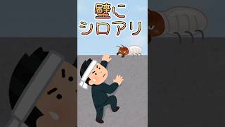 ためにならないことわざ 282「壁に耳あり障子に目あり」→ ChatGPTに聞いたことわざの意味はコメント欄から