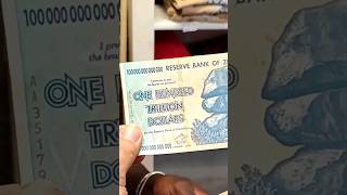 One hundred TRILLION DOLLAR banknote 😱🤑🤑#money #travel #zimbabwe