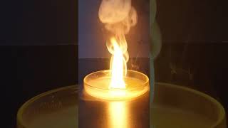 White Phosphorurs | JeyJey  #experiment #science #chemistry