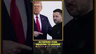 Russia-Ukraine War: EU Top Diplomat Says US Should Share 'Burden' Of Arming Ukraine | WION Shorts