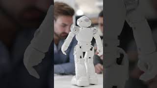 AI cannot replace humans