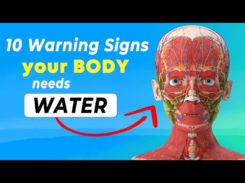 Stay Hydrated: 10 Signs You're Not Drinking Enough Water | 1Stop Health